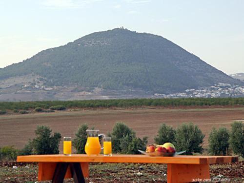 Noach Batavor Villa Kefar Kish Exteriör bild