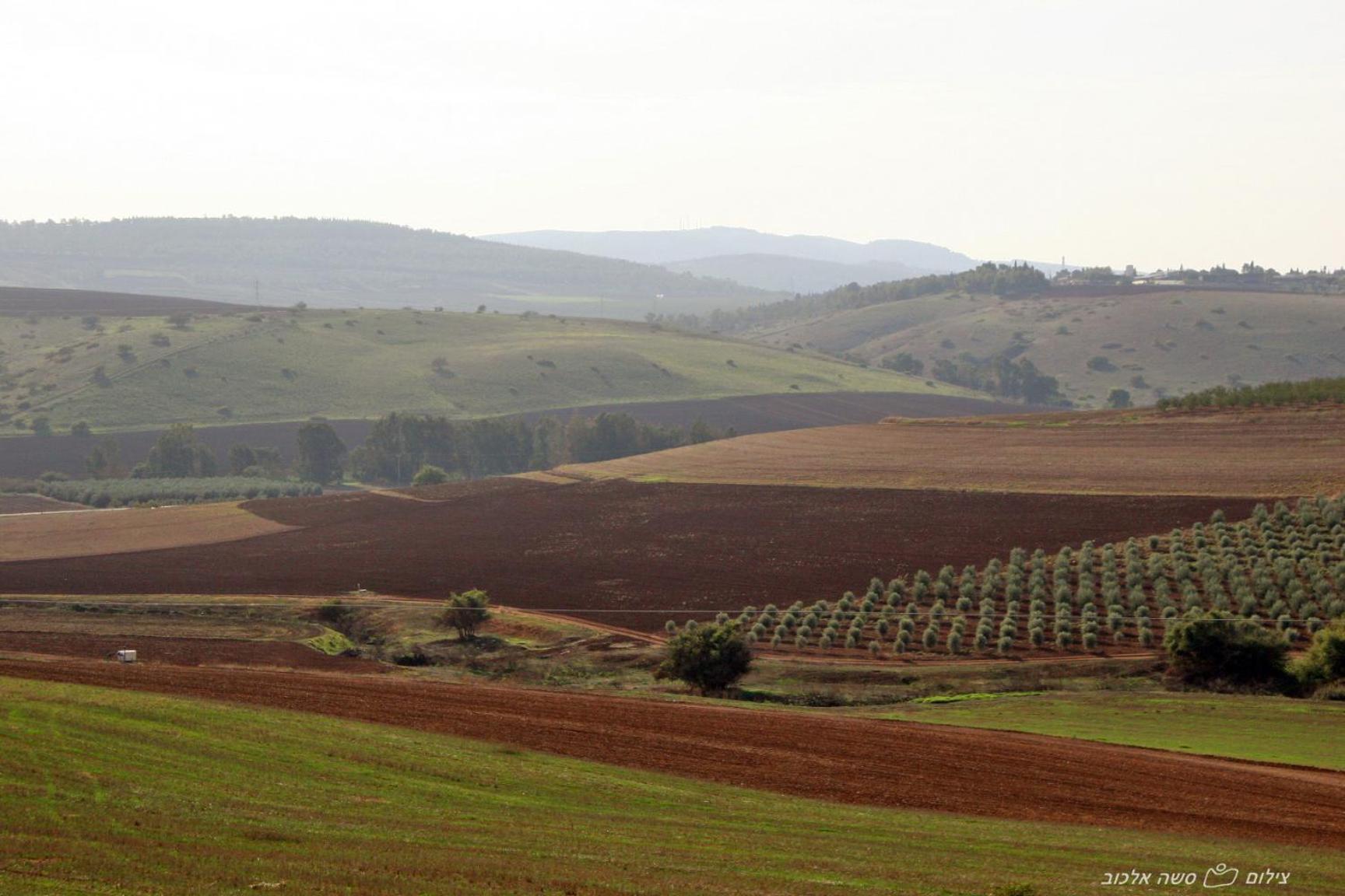 Noach Batavor Villa Kefar Kish Exteriör bild